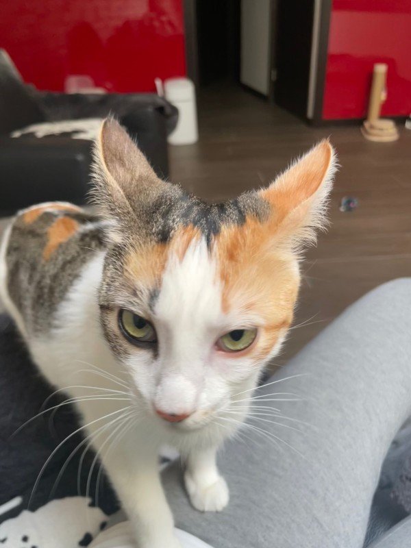 Minnie