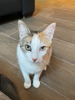 Minnie