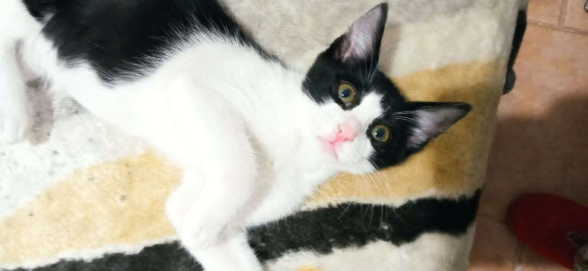 Mia