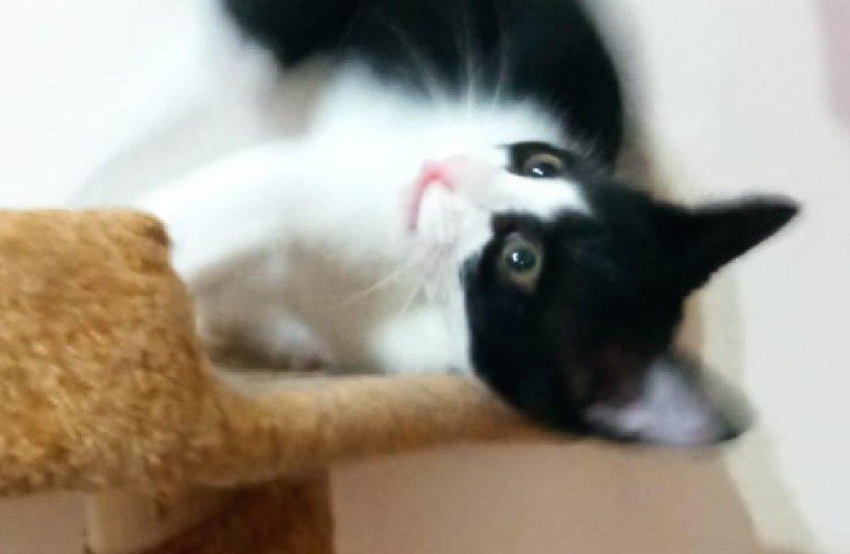 Mia