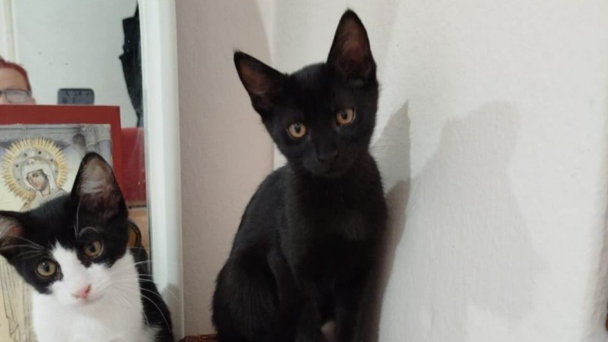 Mia