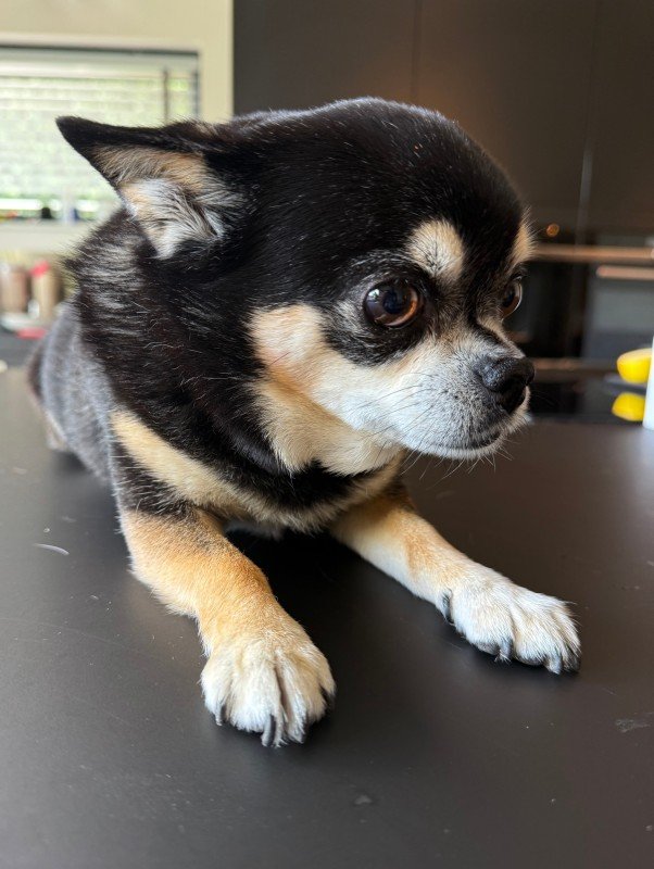 Chloe