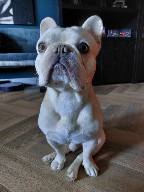 Odin