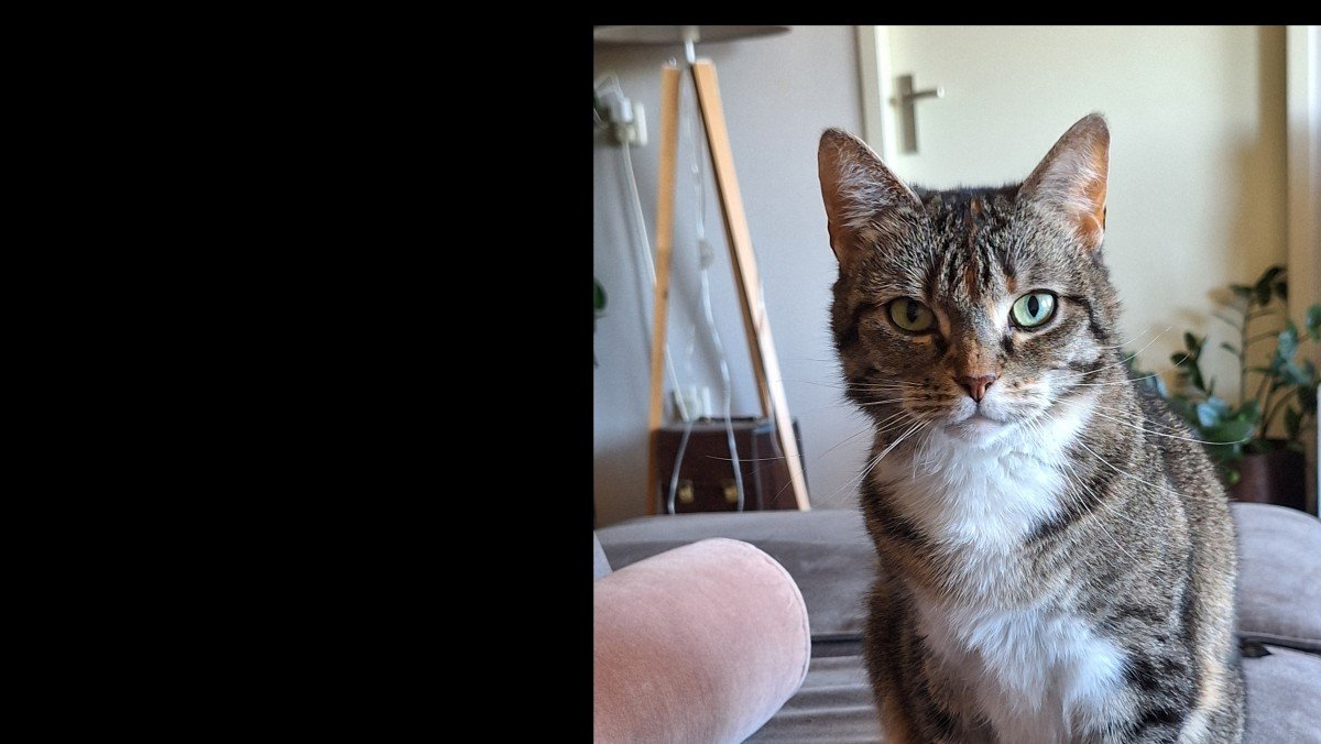 Mischa