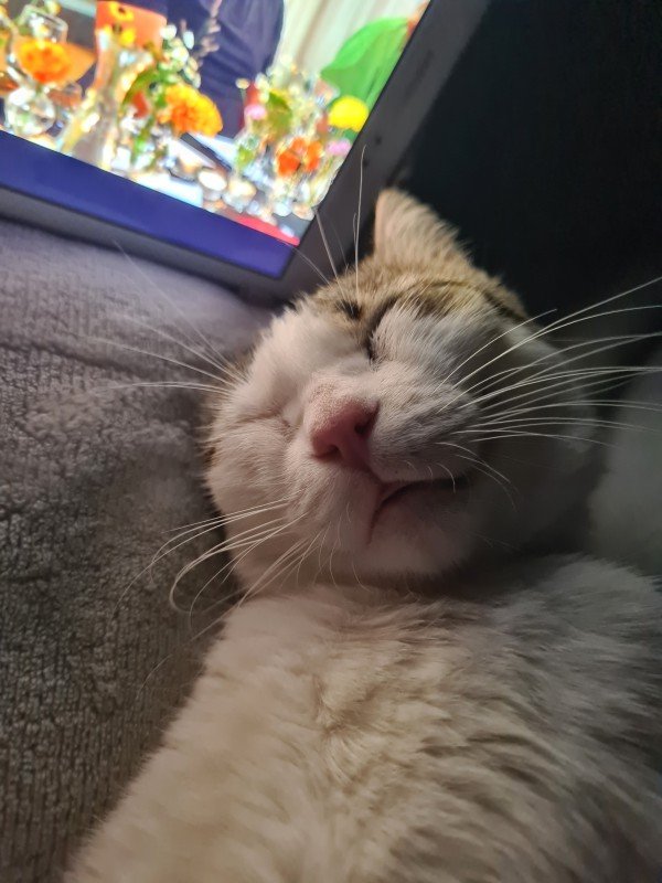 Mientje