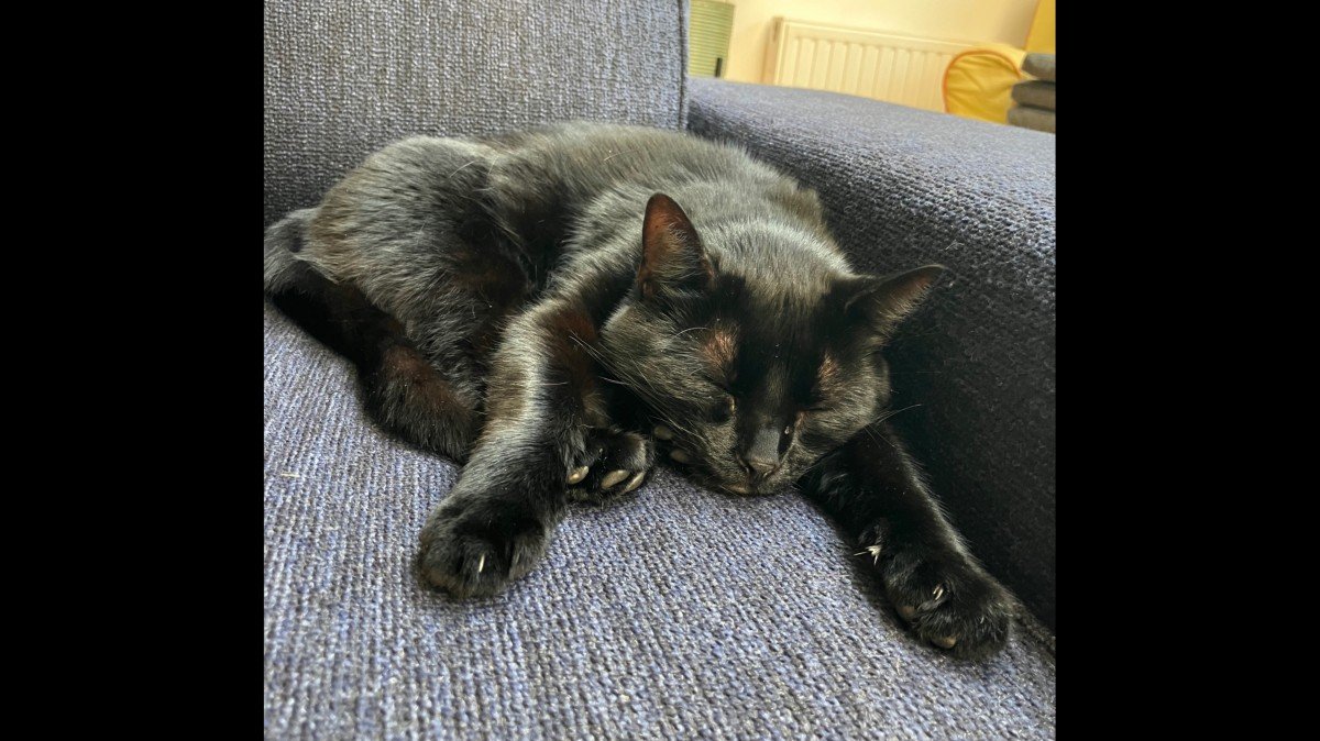 Floki