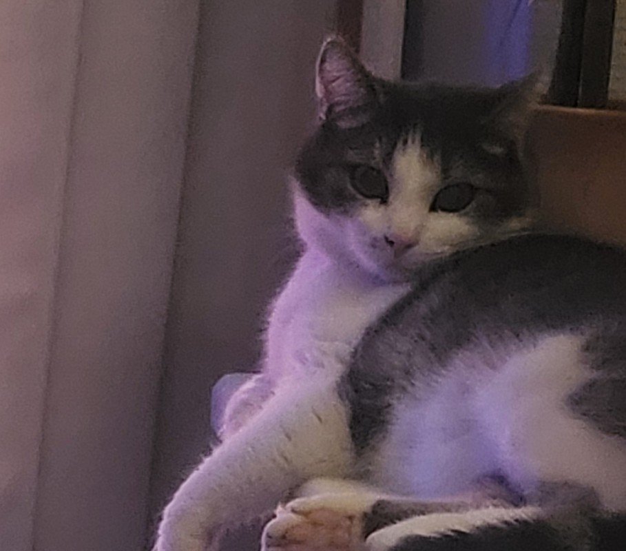 Charlie