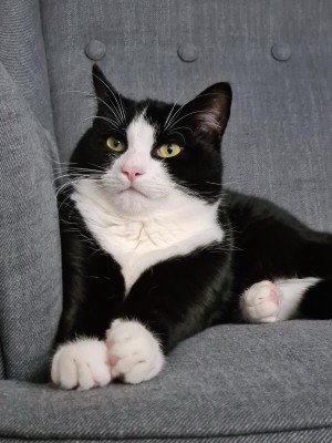 Louis