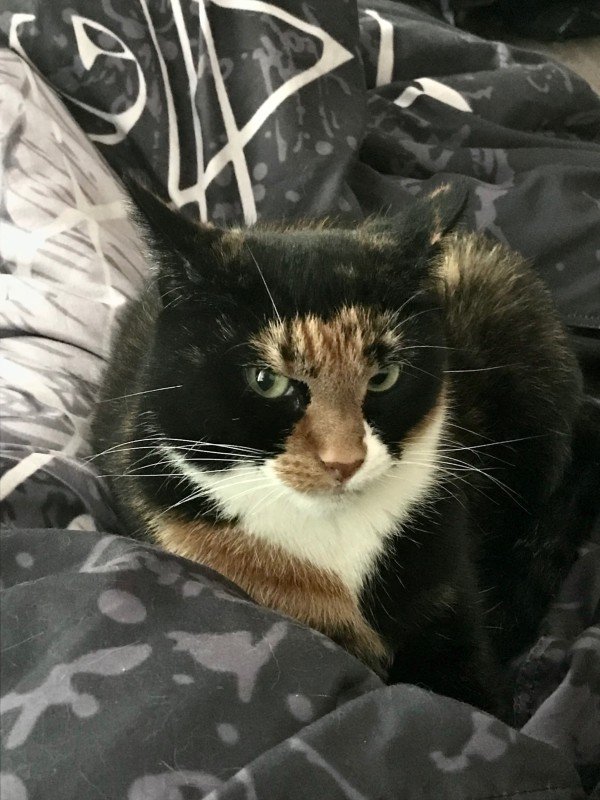Mika