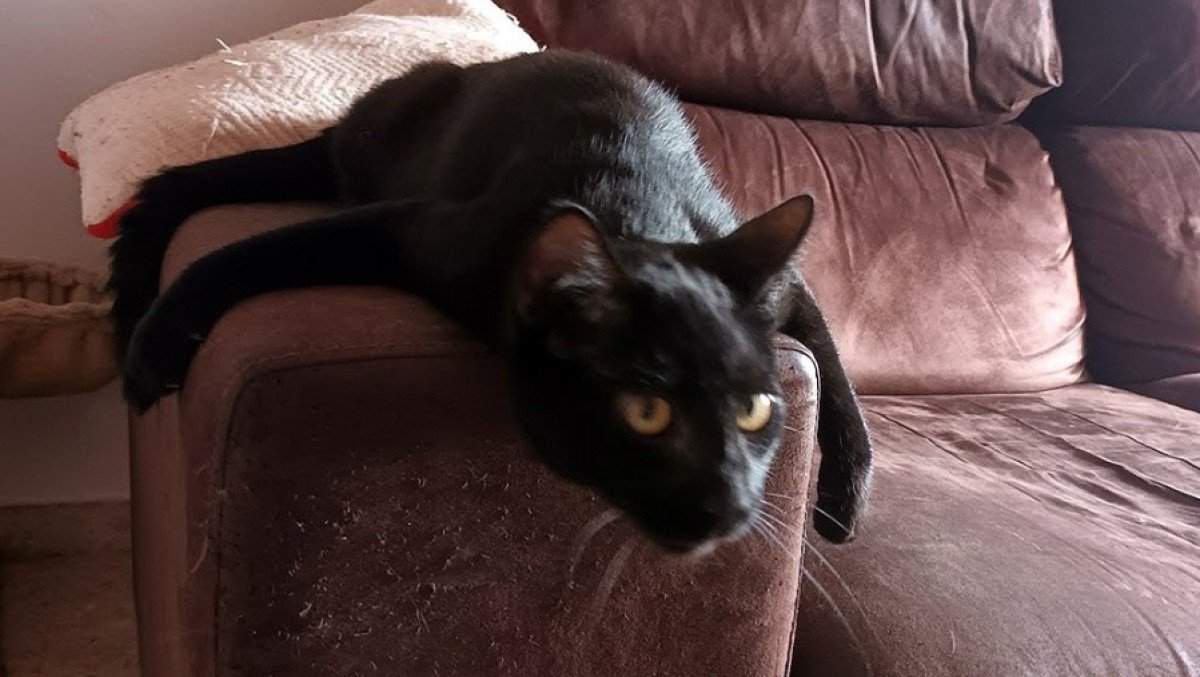 Salem