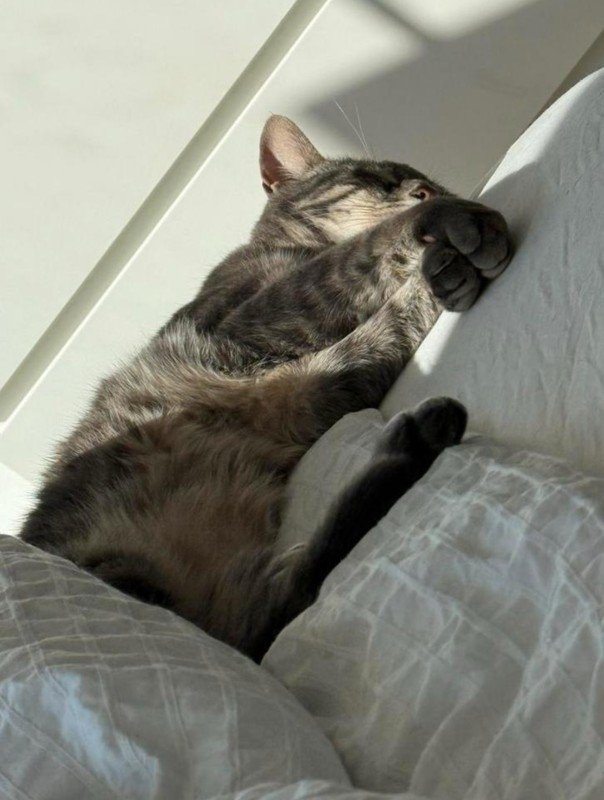 Yuki