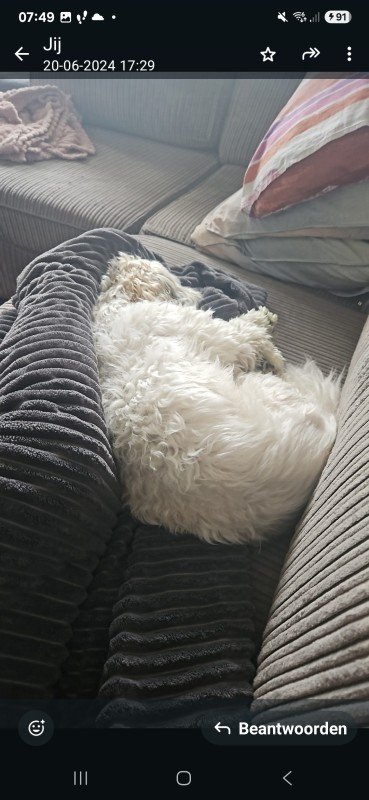 Sammy