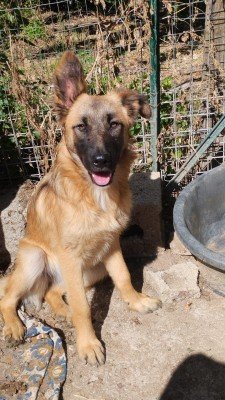 Mali