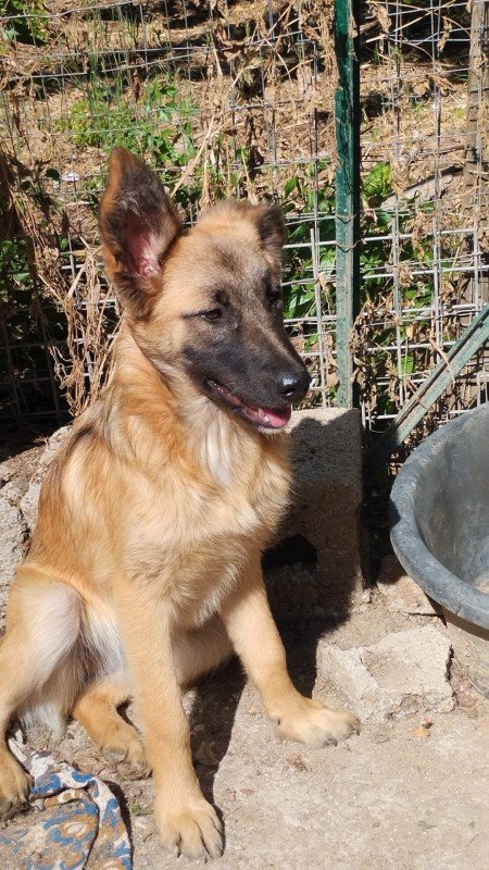 Mali