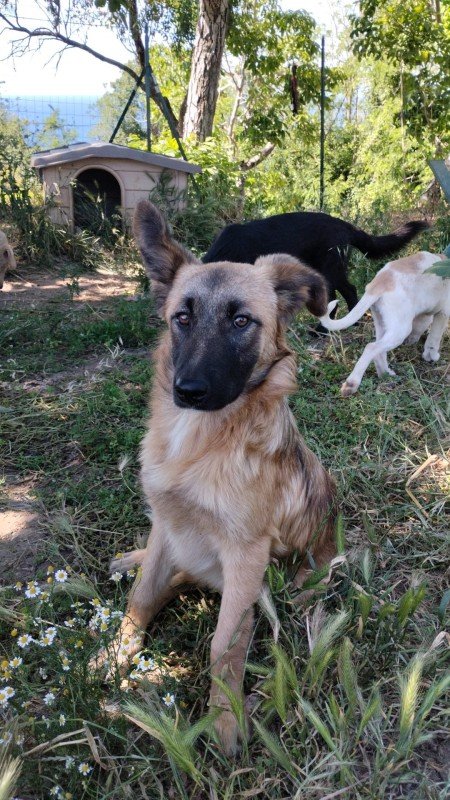 Mali