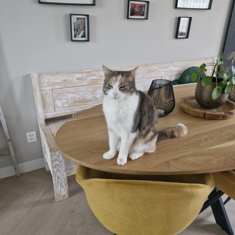 Zoe