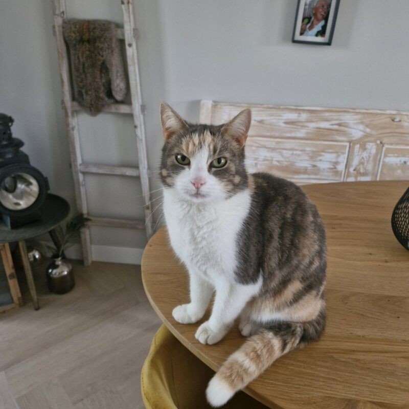 Zoe
