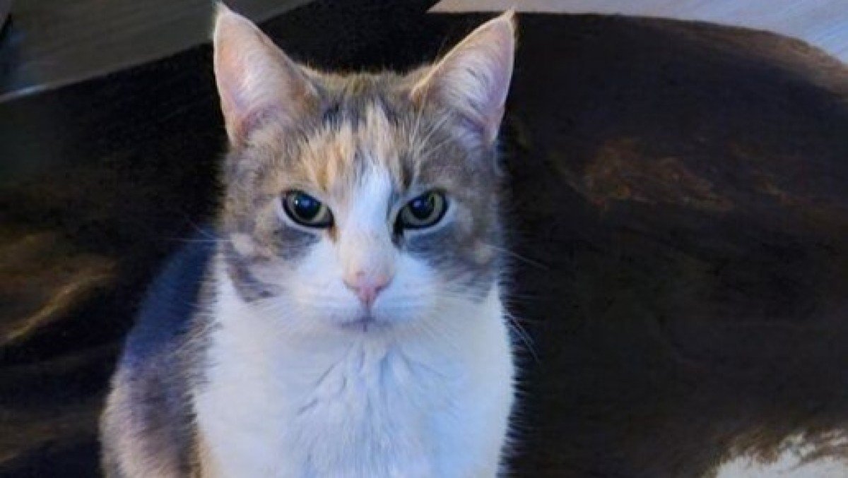 Zoe