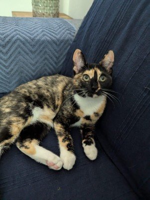Luna