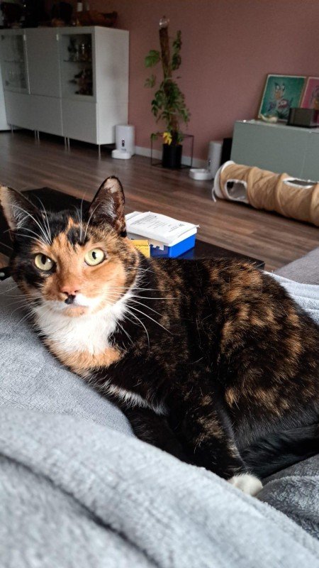 Luna