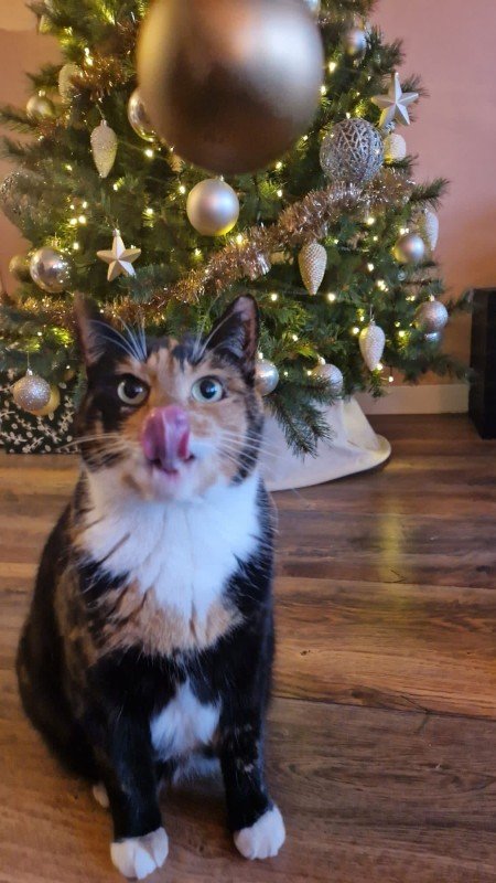 Luna
