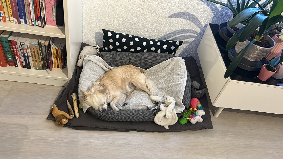 Max