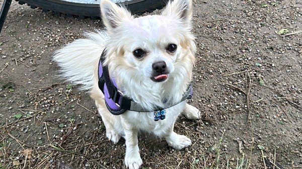 Max
