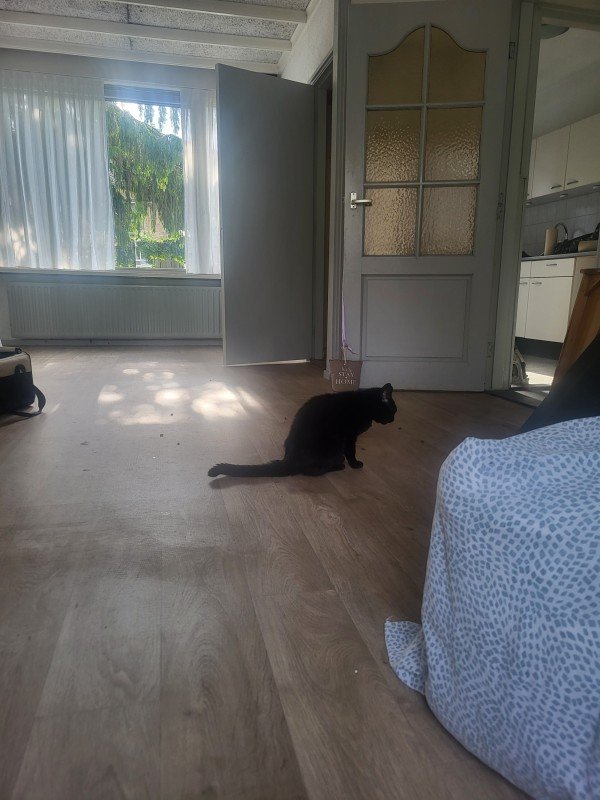*SPOED* Lotje