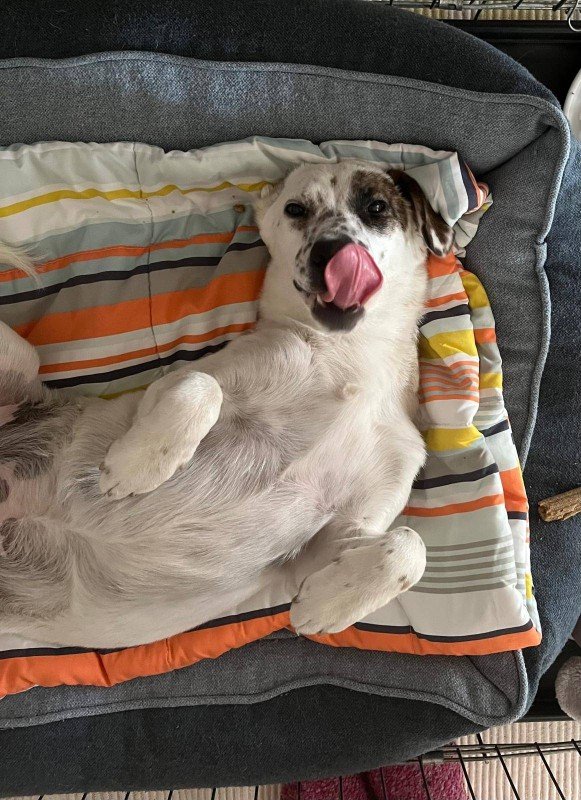 Lena