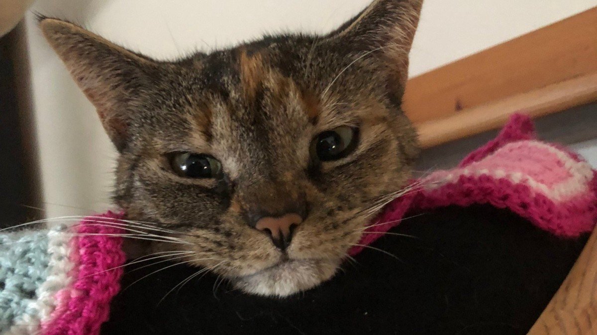 Zoe