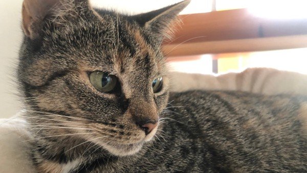 Zoe