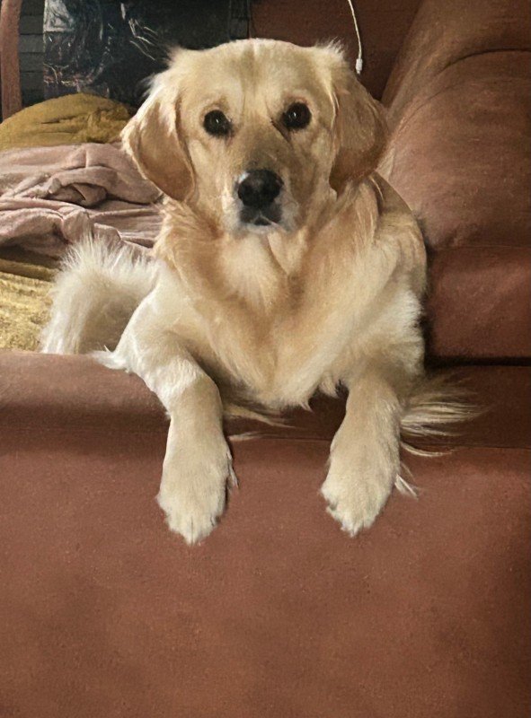 Rocky