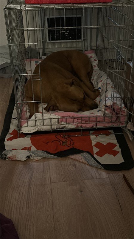 Kaya