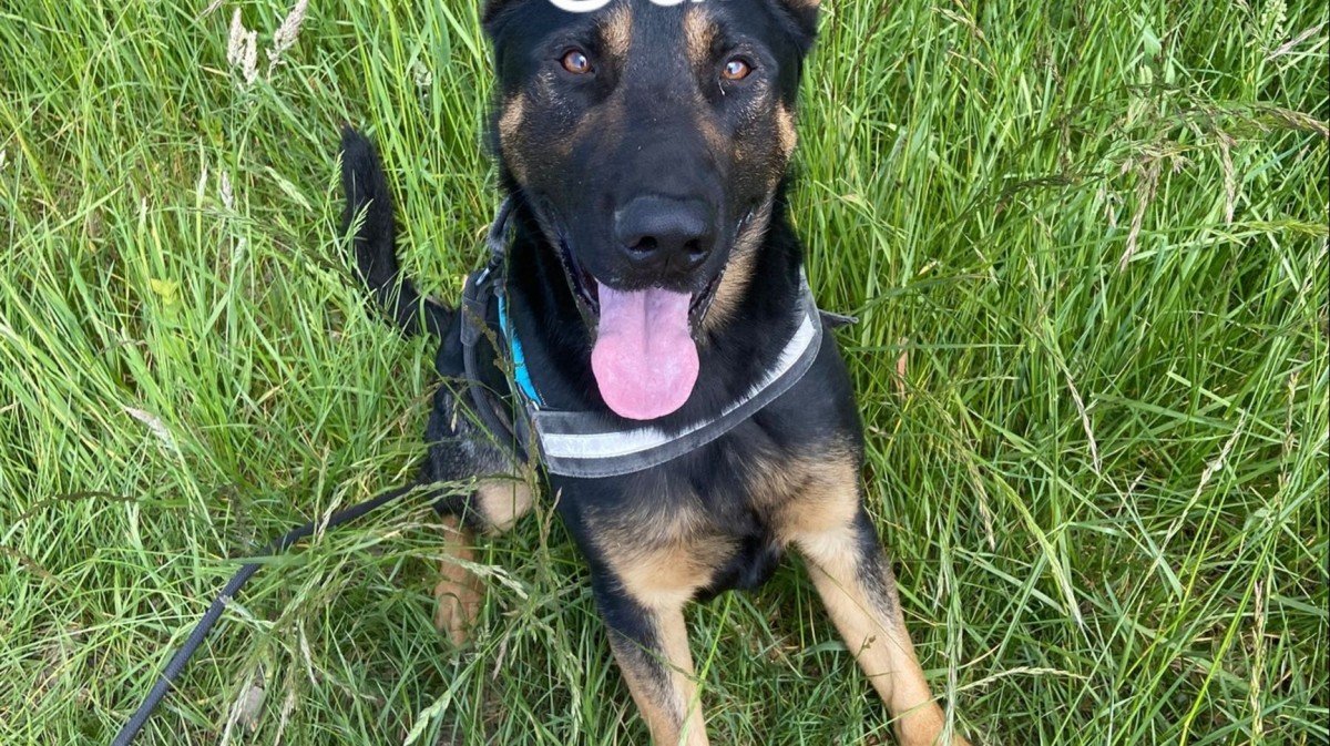 Odin