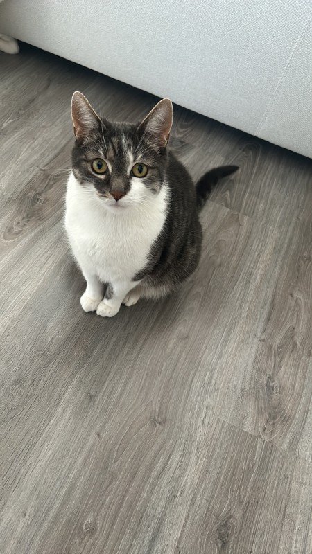 Billy