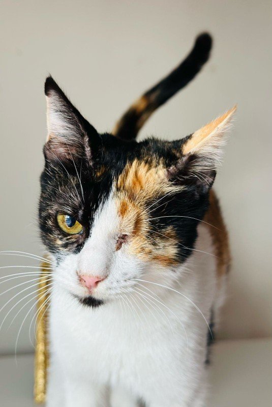 Gina