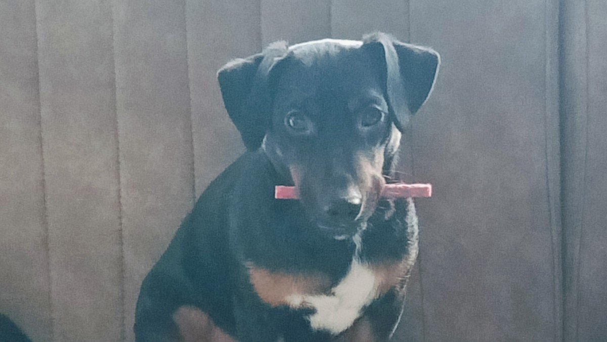 Rocky