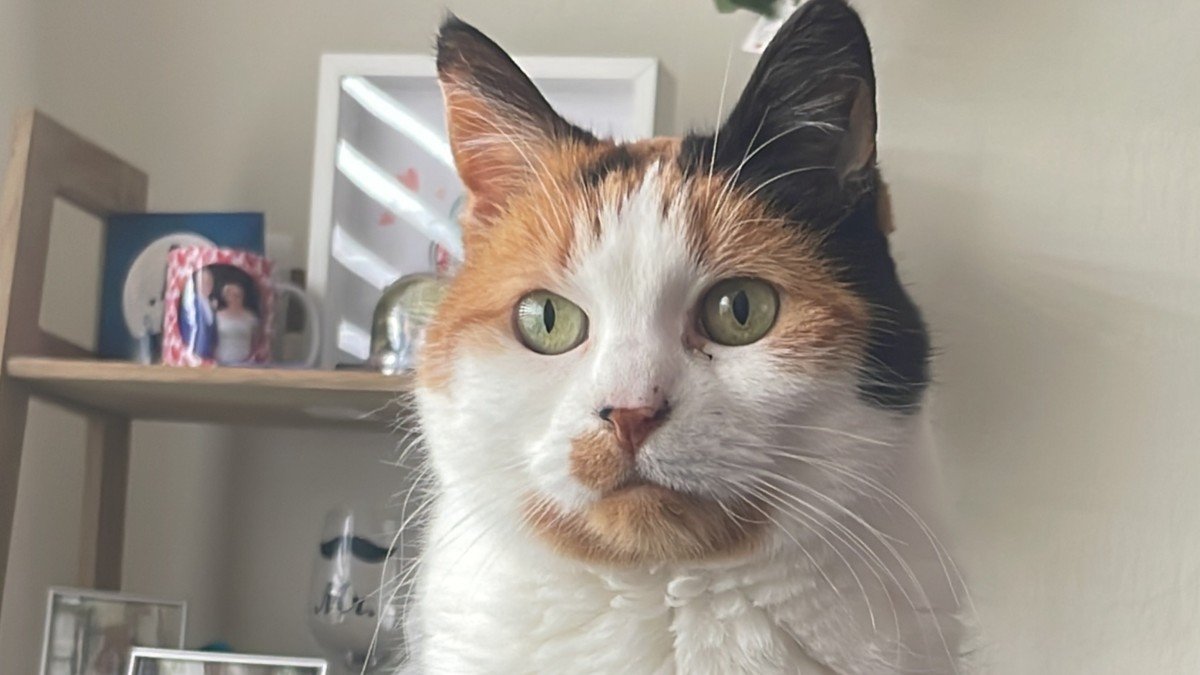 Lola