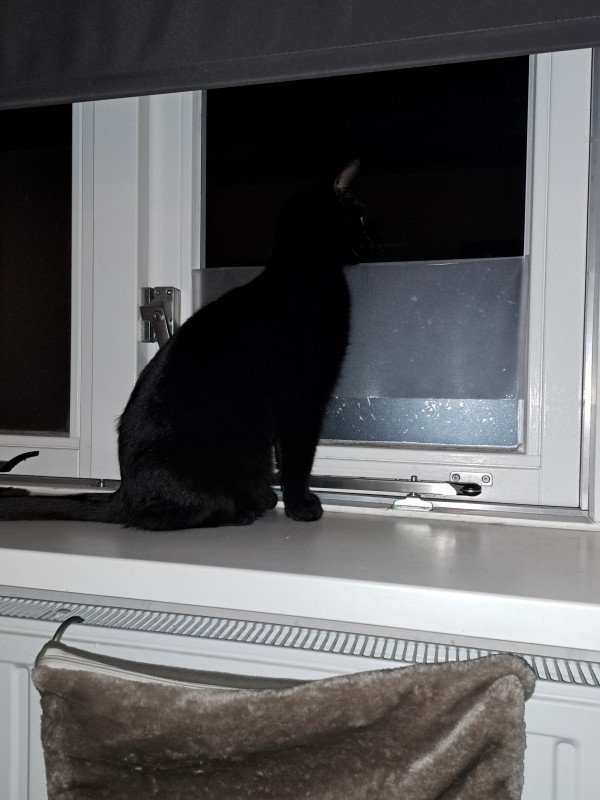 Blackie