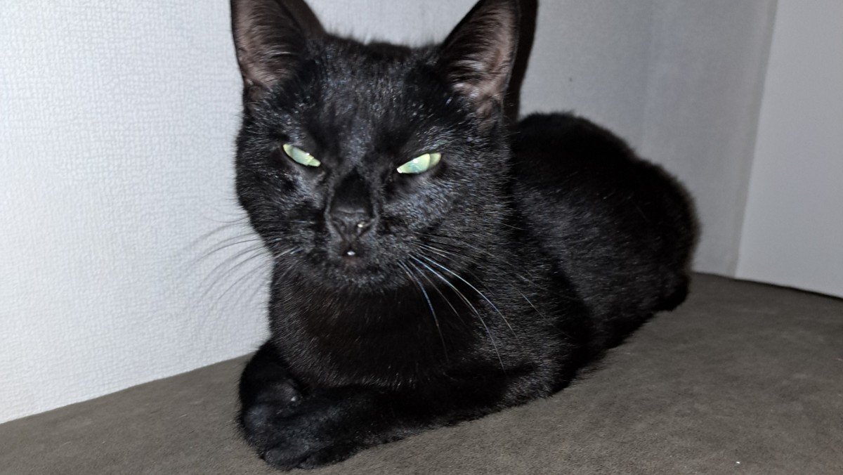 Blackie