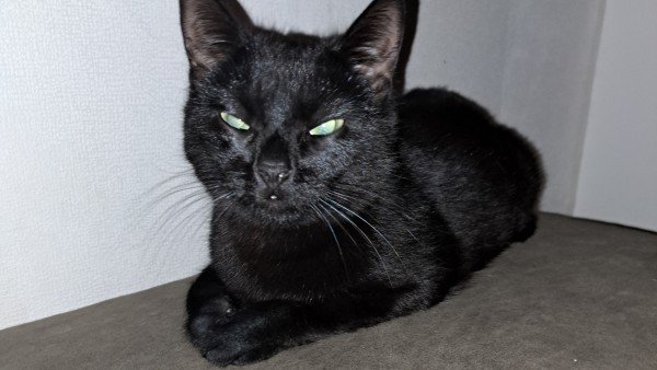 Blackie