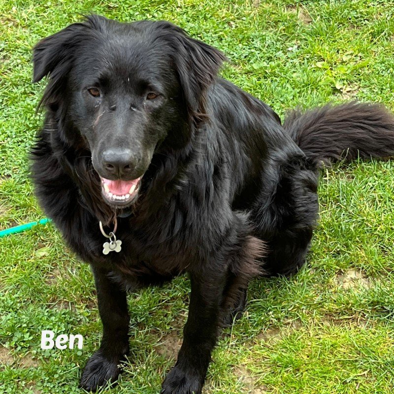 Ben