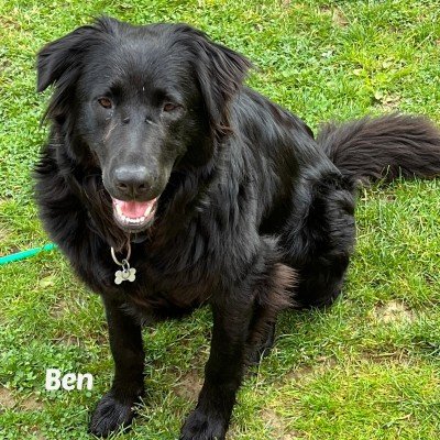 Ben
