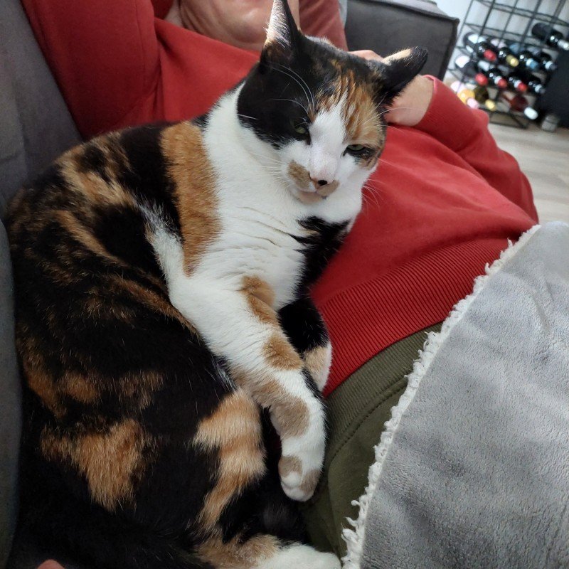 Luna