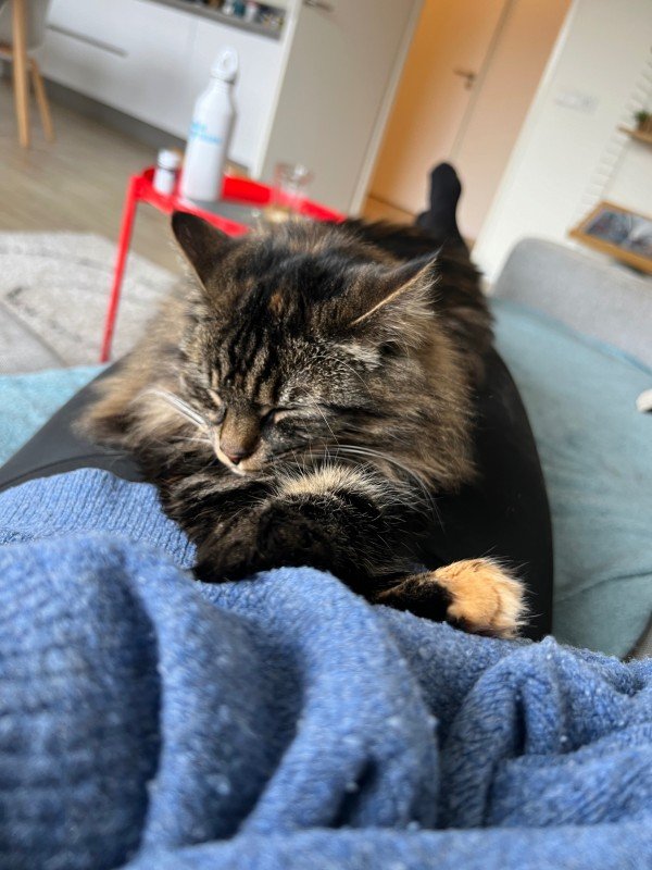 Luna