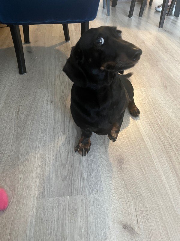 Max