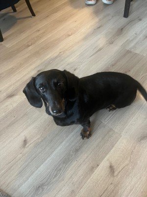 Max