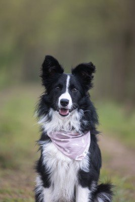 Bella