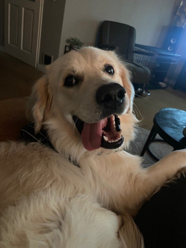 Harvey