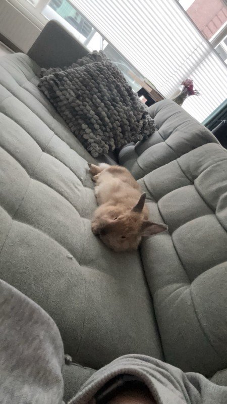 Swiffer